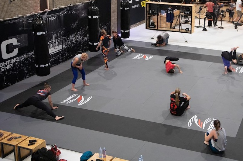 E.F.C Zebra Mats