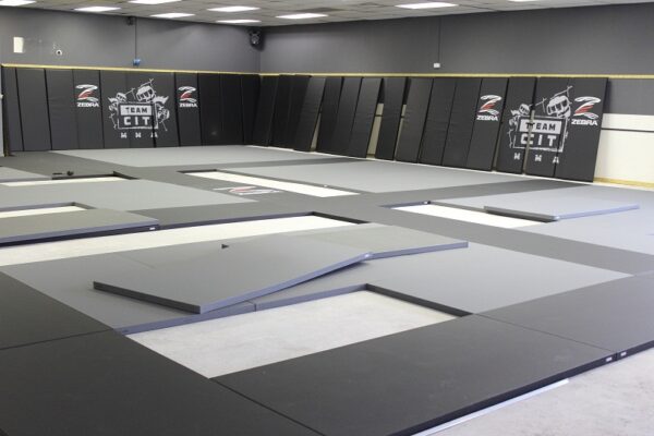 zebra installation at cit 5
