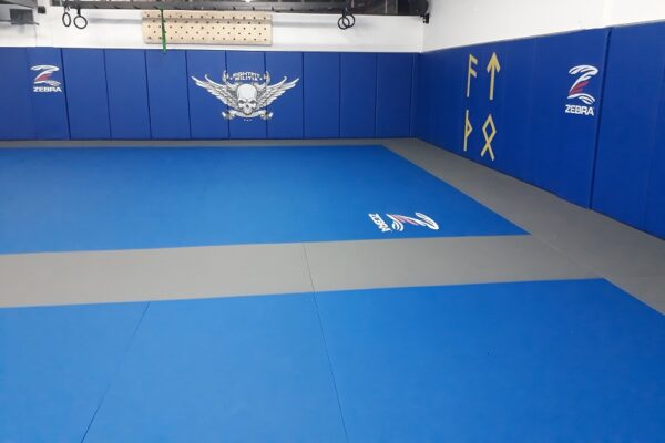 zebra installation at fight fit militia 2