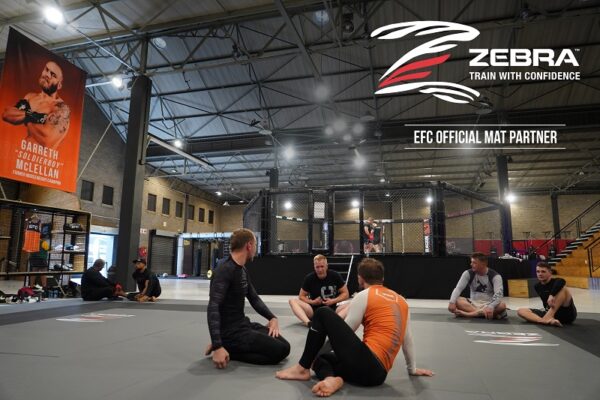 EFC Zebra Partner